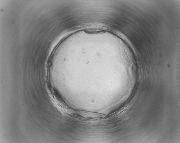 X0000053061099200508081148