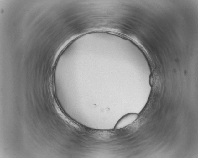 X0000053061100200508081148