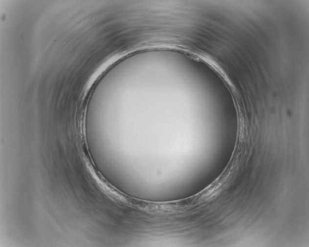 X0000053061101200508081147