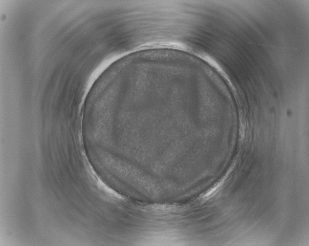 X0000053061102200508081147