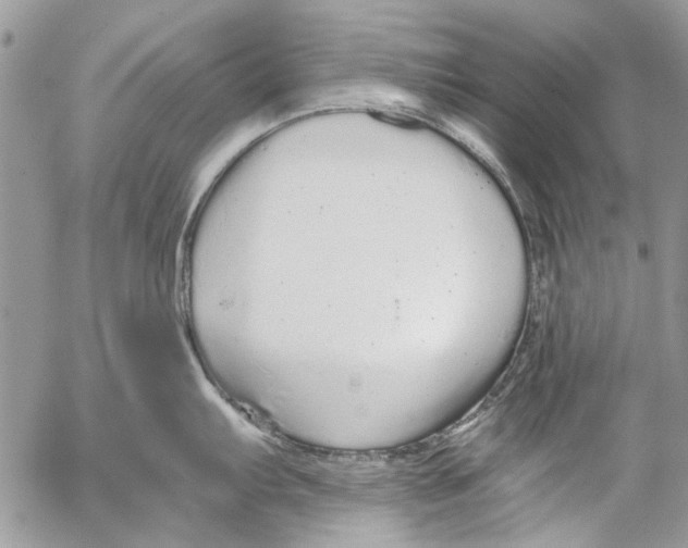 X0000053061103200508081147