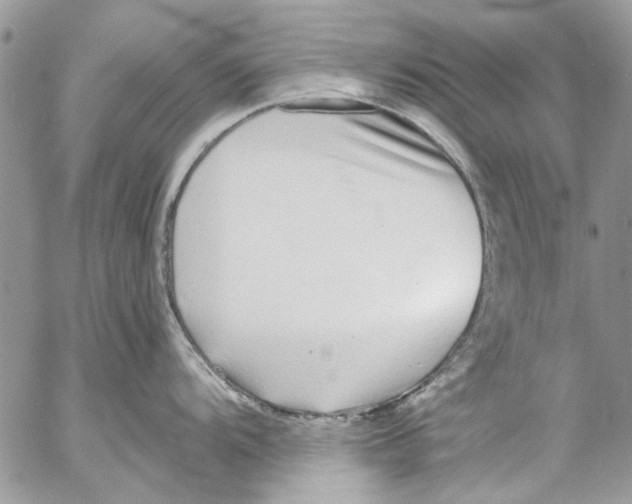 X0000053061104200508081147