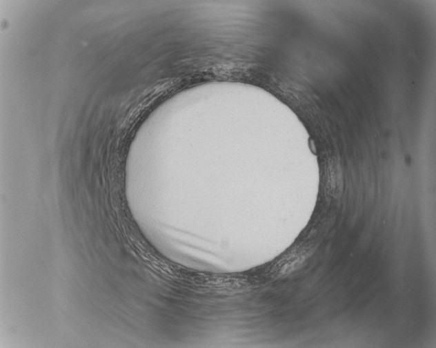 X0000053061105200508081147