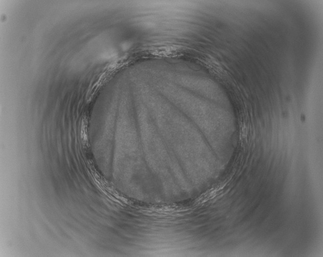 X0000053061106200508081147