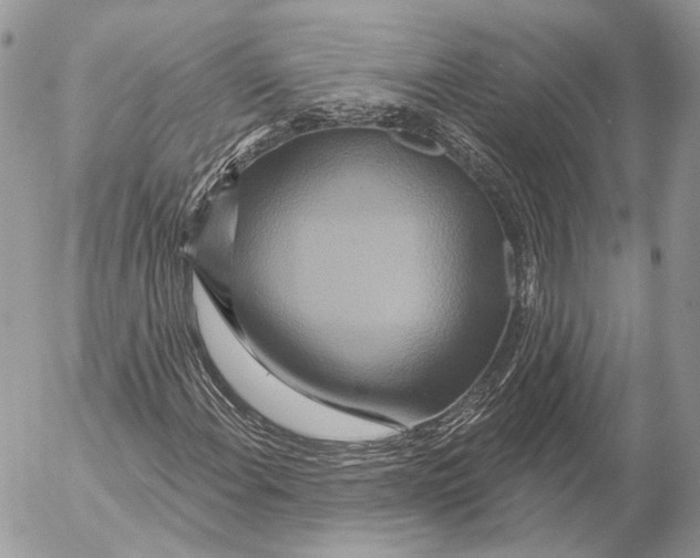 X0000053061108200508081147