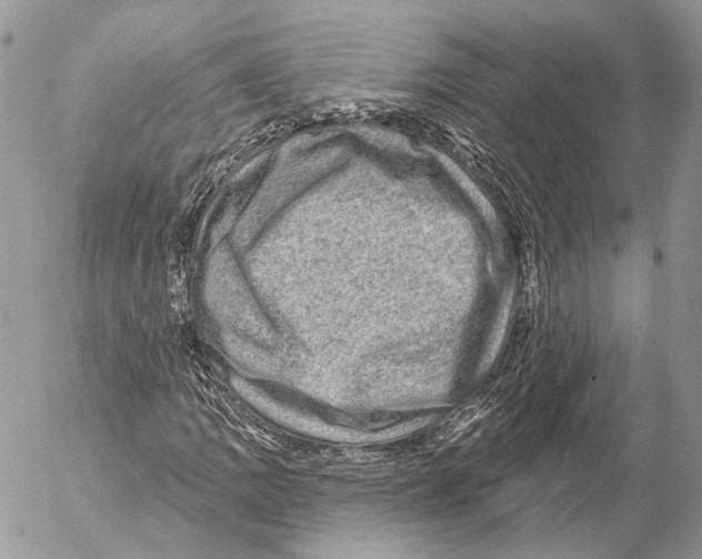 X0000053061109200508081147