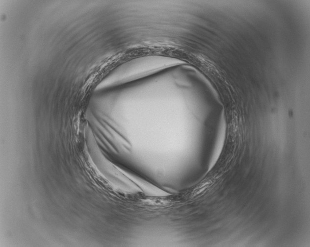 X0000053061110200508081147