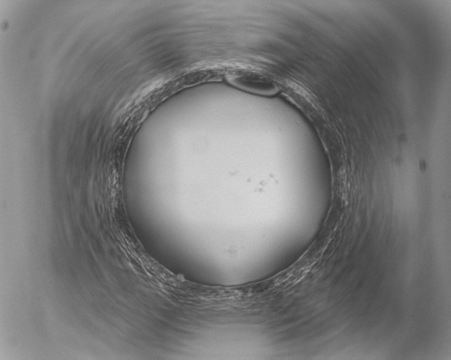 X0000053061111200508081147