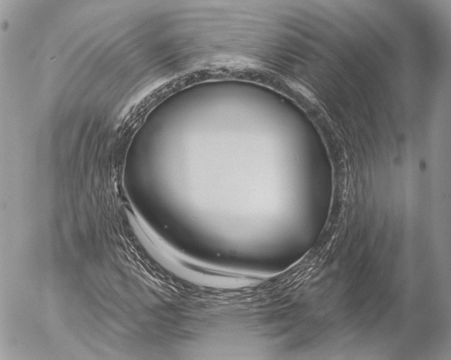 X0000053061112200508081147