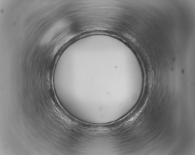 X0000053061113200508081147