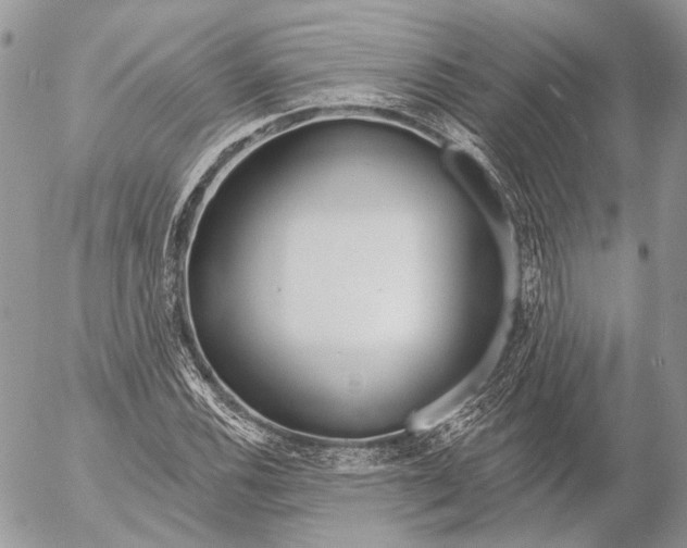 X0000053061116200508081147