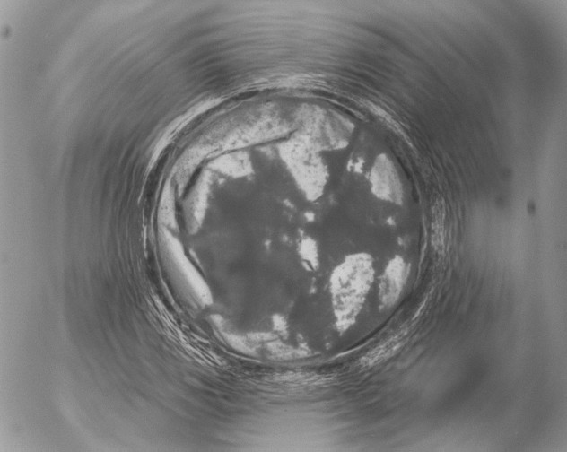 X0000053061117200508081147