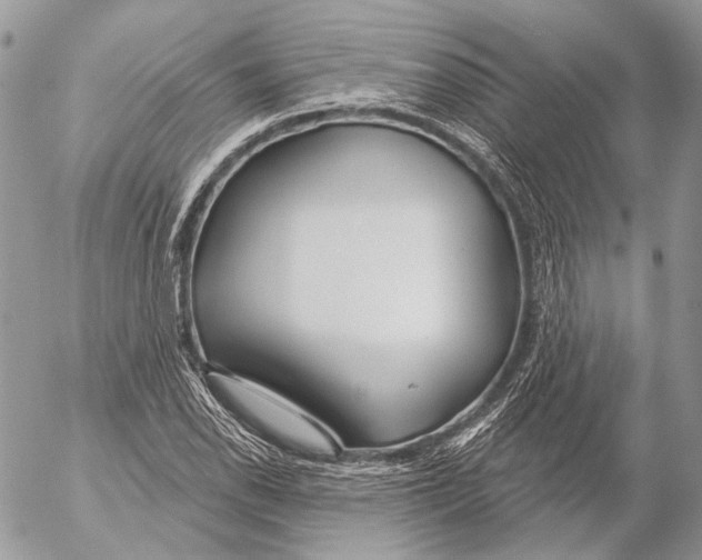 X0000053061118200508081147