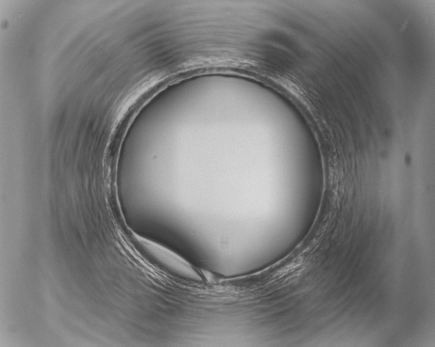 X0000053061119200508081147