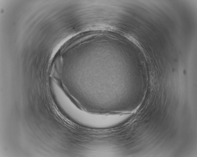 X0000053061120200508081147