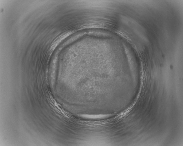 X0000053061121200508081147