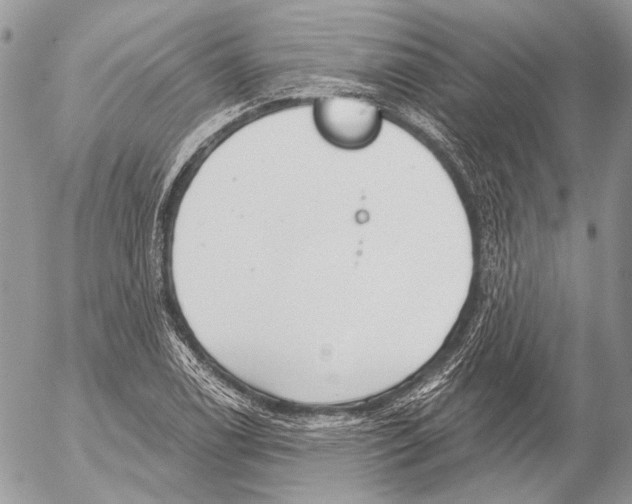 X0000053061122200508081147