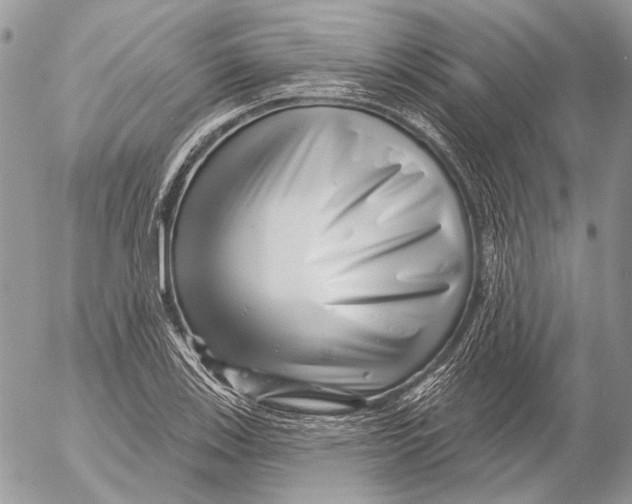 X0000053061123200508081147