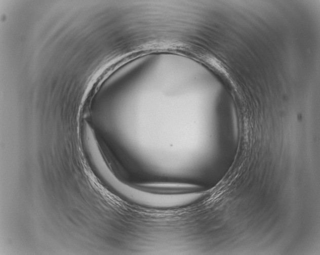 X0000053061124200508081147