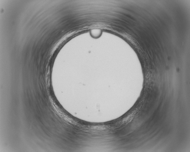 X0000053061126200508081147