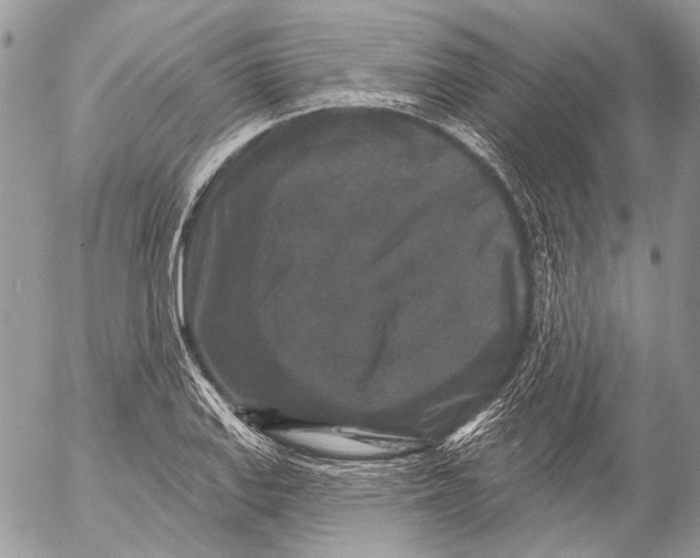 X0000053061127200508081147