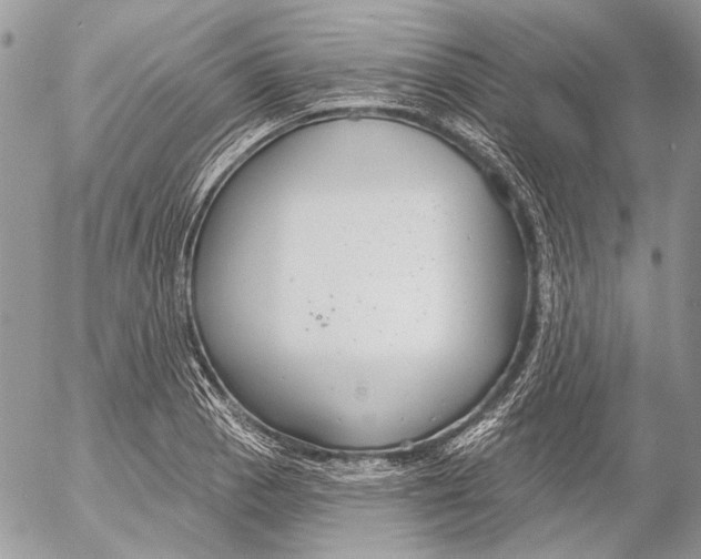 X0000053061129200508081147