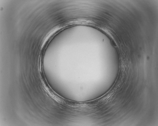 X0000053061131200508081147