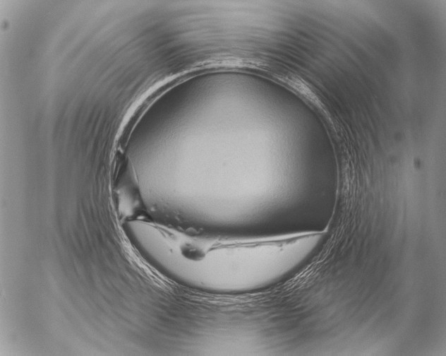 X0000053061132200508081147