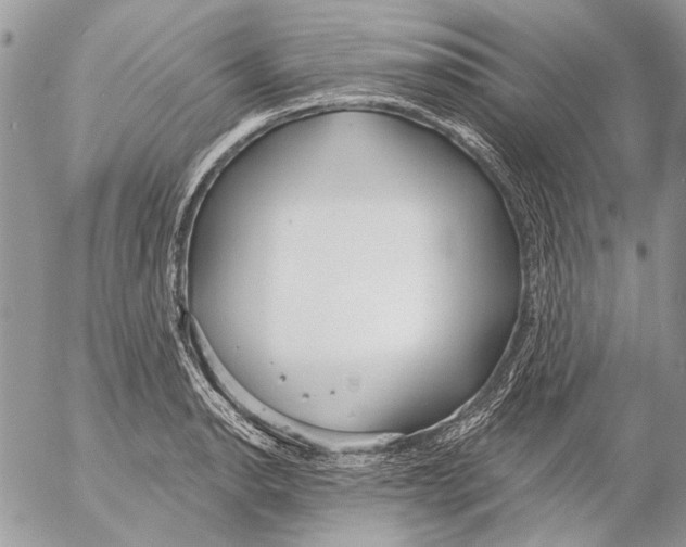 X0000053061134200508081147