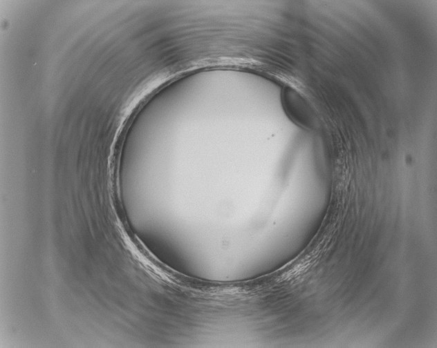 X0000053061135200508081147