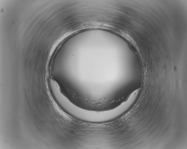 X0000053061136200508081147