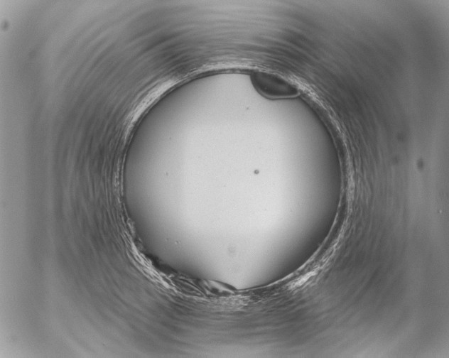 X0000053061137200508081147