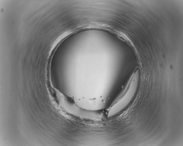 X0000053061138200508081147