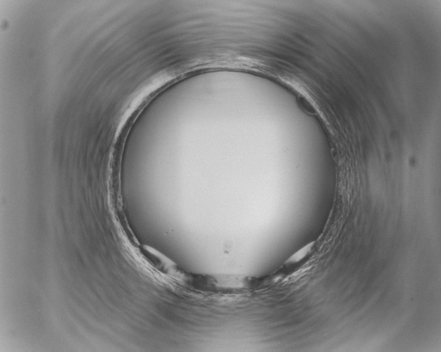 X0000053061139200508081147