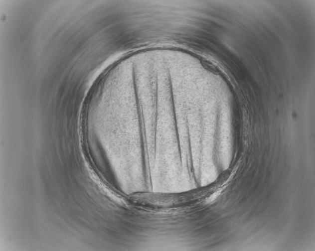 X0000053061142200508081147