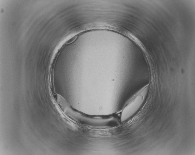 X0000053061144200508081147