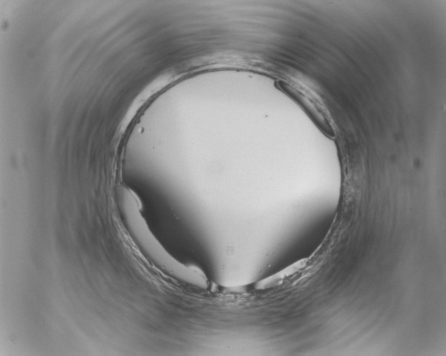 X0000053061146200508081147