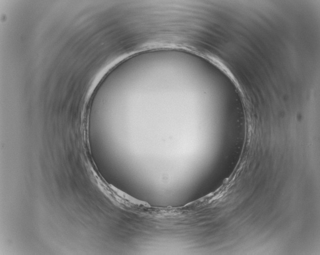 X0000053061148200508081147