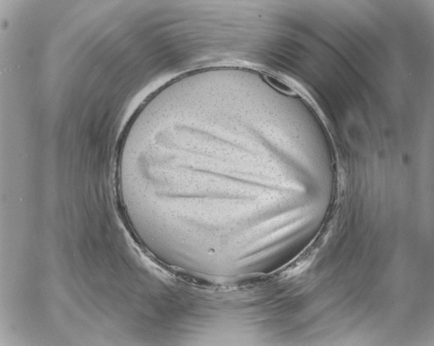 X0000053061149200508081147