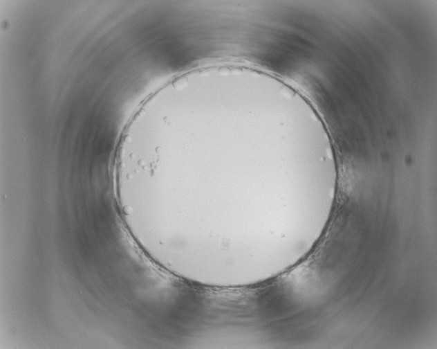 X0000053061150200508081147