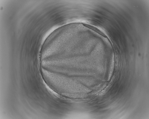 X0000053061151200508081147