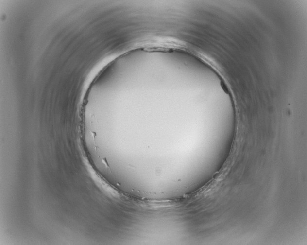 X0000053061152200508081147