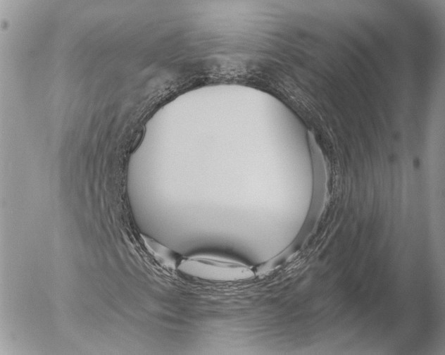 X0000053061153200508081147