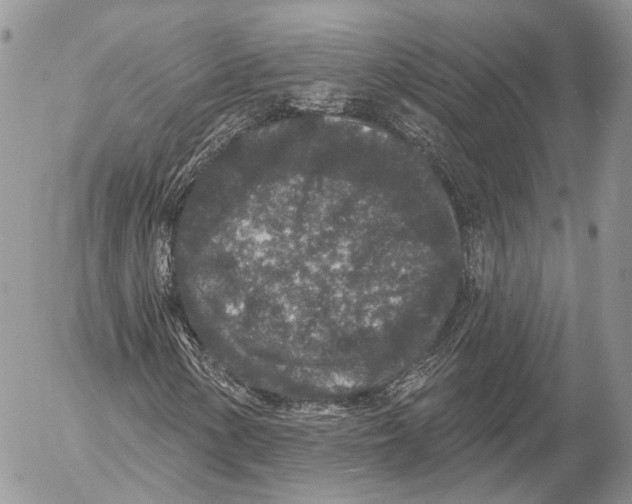 X0000053061154200508081147