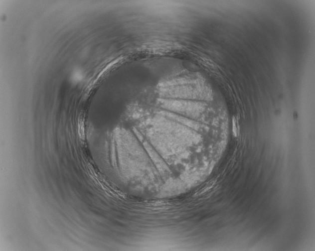 X0000053061155200508081147