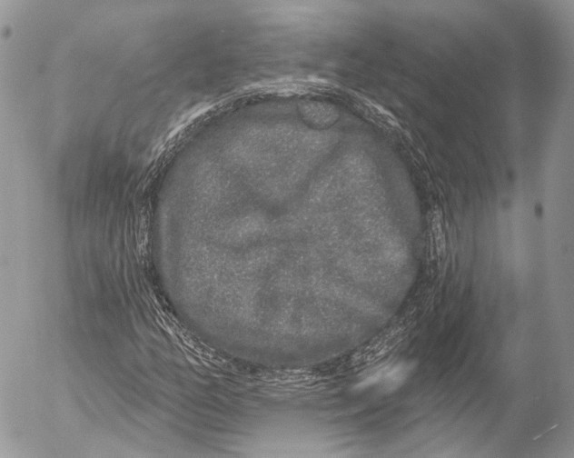 X0000053061158200508081147