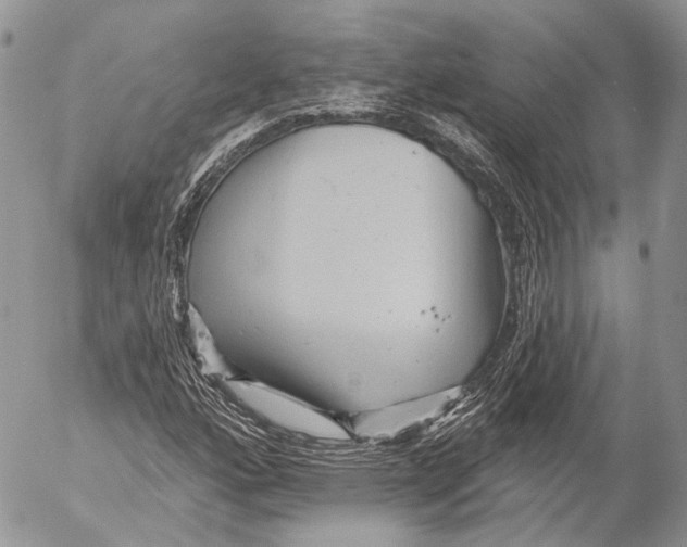 X0000053061160200508081147