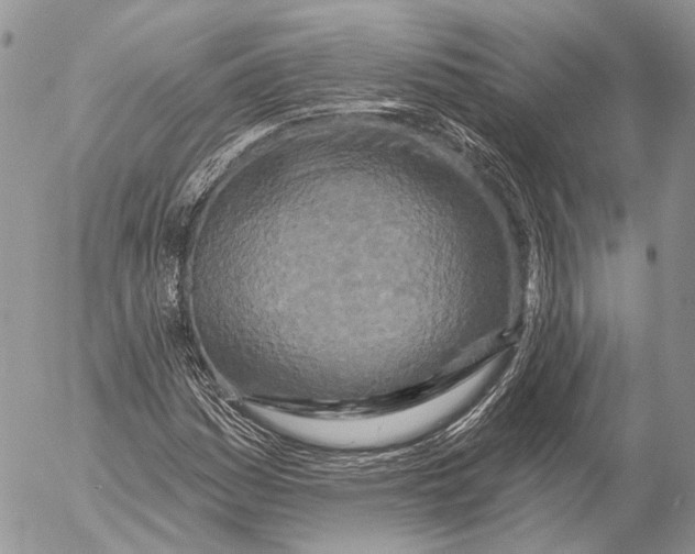 X0000053061161200508081147