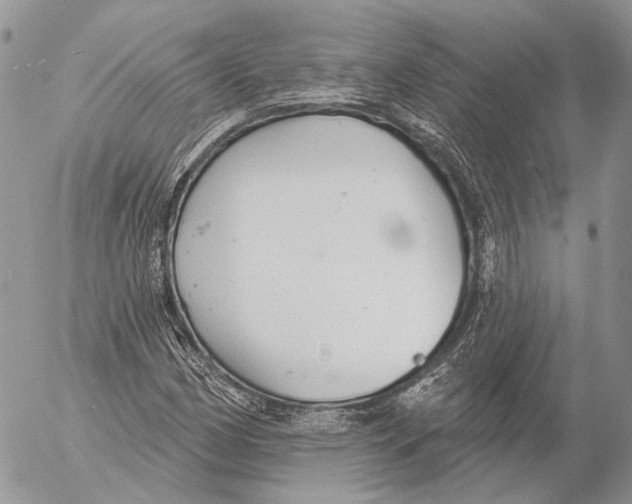 X0000053061162200508081146