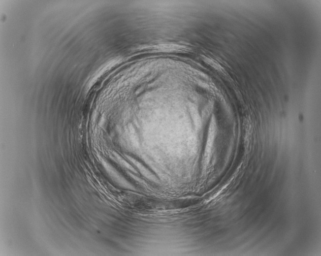 X0000053061163200508081146